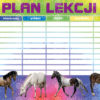 plan-lekcji-A5-polsyr-7