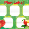 plan-lekcji-maly-polsyr-9