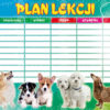 plan_lekcji-A5-polsyr-3