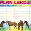 plan_lekcji-duzy-polsyr-2