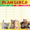 plan_lekcji-duzy-polsyr-3